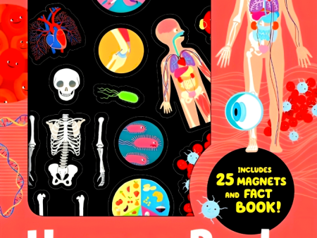 Factivity - Magnetic Folder - Human Body (Neon Edition) Online