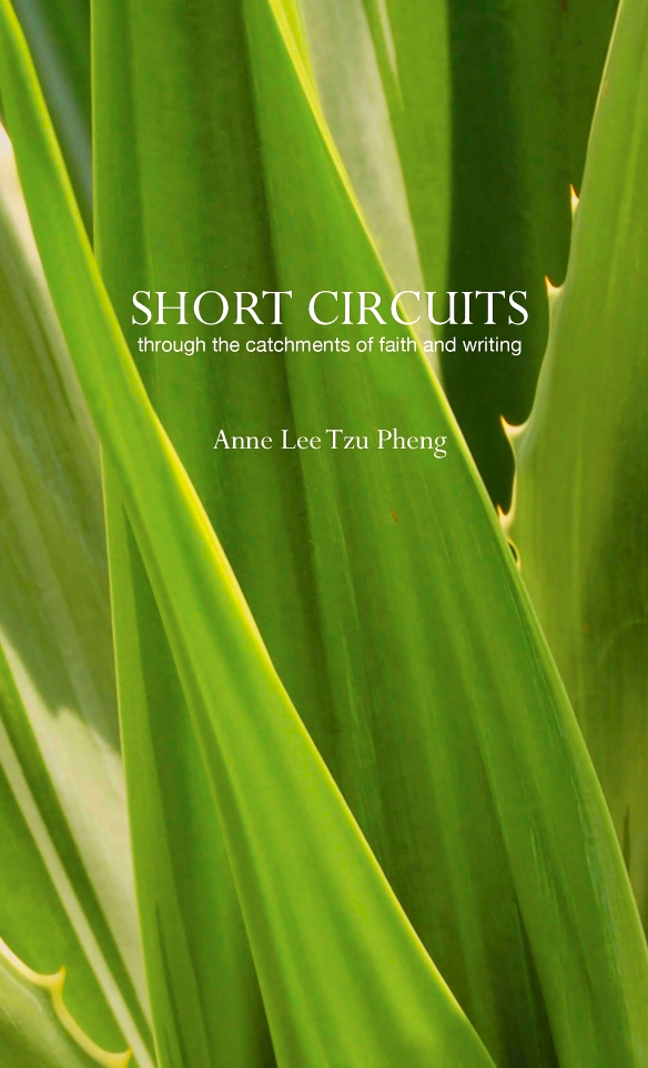 Short Circuits For Sale