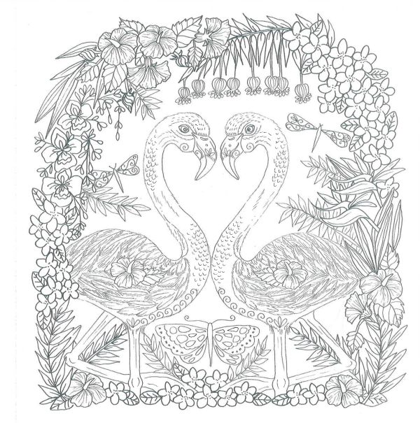 Zendoodle Colorscapes: Enchanting Islands - Romantic Escapes To Color And Display Online now