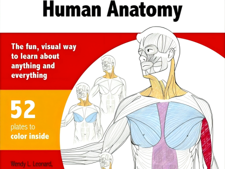 Color Yourself Smart: Human Anatomy For Discount