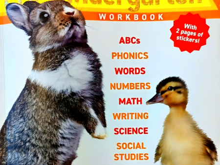 Pre-Kindergarten Workbook (Wonders Of Learning) For Discount