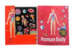 Factivity - Magnetic Folder - Human Body (Neon Edition) Online