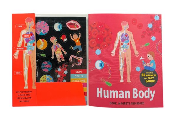 Factivity - Magnetic Folder - Human Body (Neon Edition) Online