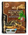 Hikari Mulberific Delite Probiotic Tortoise 8.8 lb Online Sale