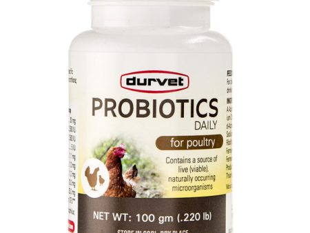 Durvet Probiotics Daily Poultry 100 gm Hot on Sale