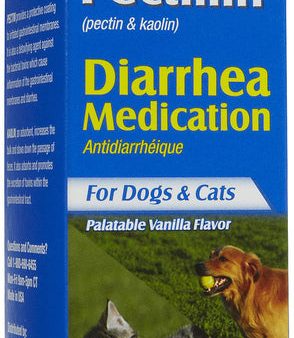 PetAg Pet Pectillin Diarrhea Medication 4 oz For Discount