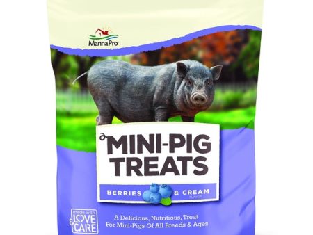 Mini Pig Treats Berries & Cream 4 lb For Discount