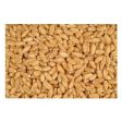 Wheat Feed 50lb Feed Grade Wheat perfect for Poultry Triple Cleaned For Sale