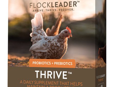 FlockLeader Thrive Prebiotic Probiotic Supplement For Chickens 8+ Weeks For Cheap