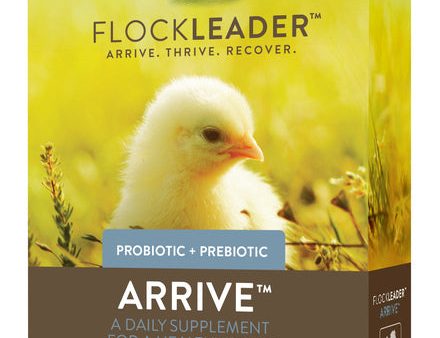 FlockLeader Arrive Prebiotic Probiotic Supplement For Chickens 0-8 Weeks 8-OZ For Cheap